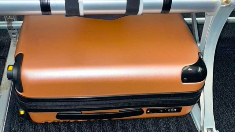 Amazon luggage online sale