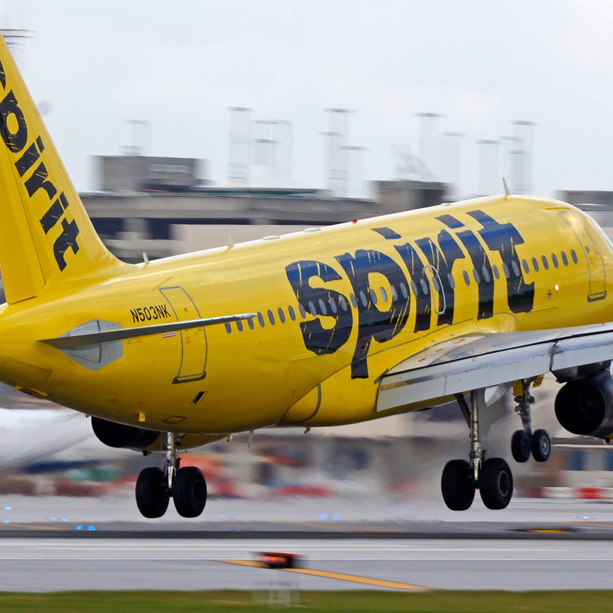 Student says she flushed 'emotional support hamster' after Spirit Airlines  denied passage, Air transport