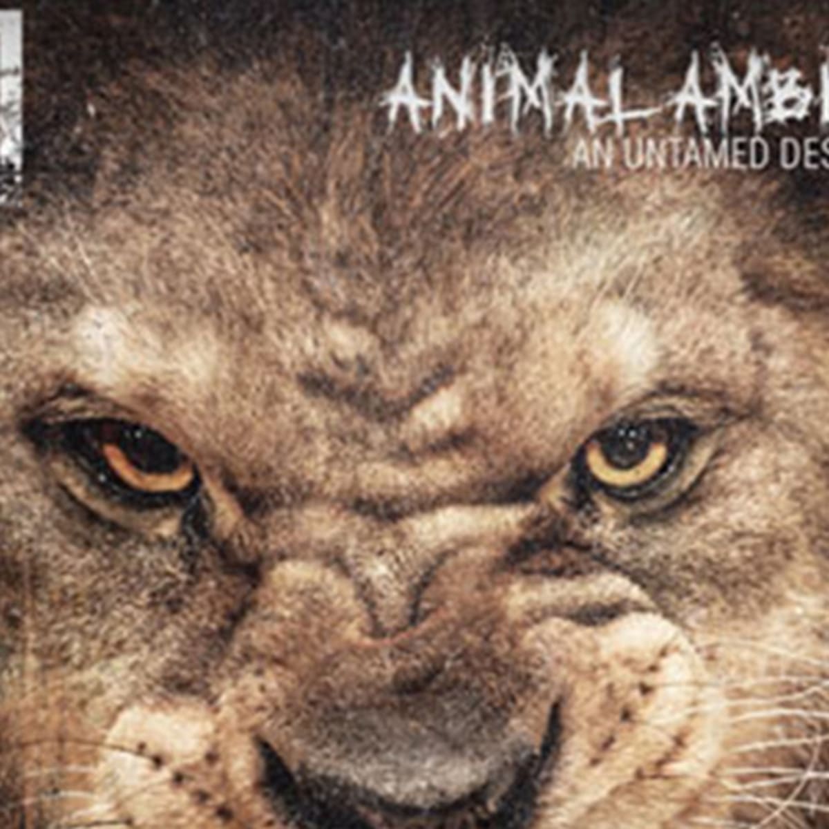 50 Cent: My Fifth Album 'Animal Ambition' Was an Unexpected Project - Video  - TheStreet