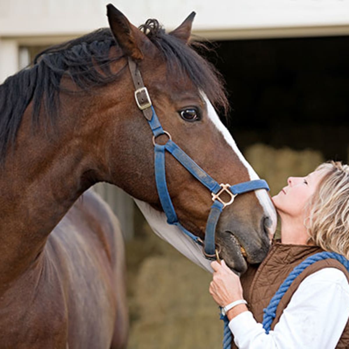 the real cost of a ride 7 expenses first time horse owners arent