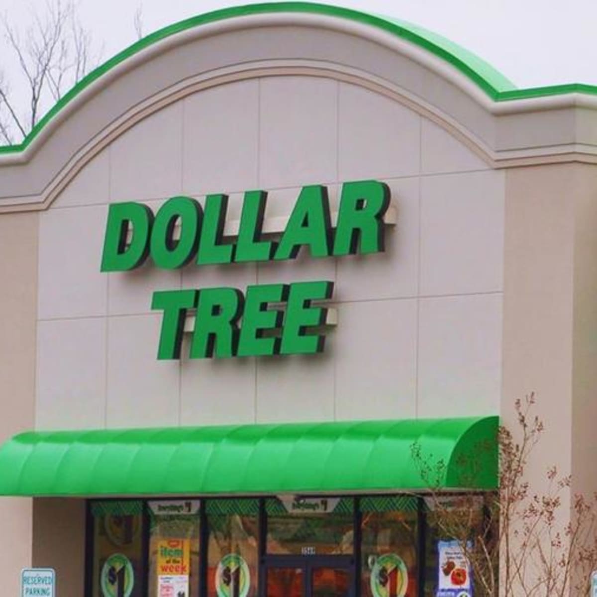 dollar tree watches