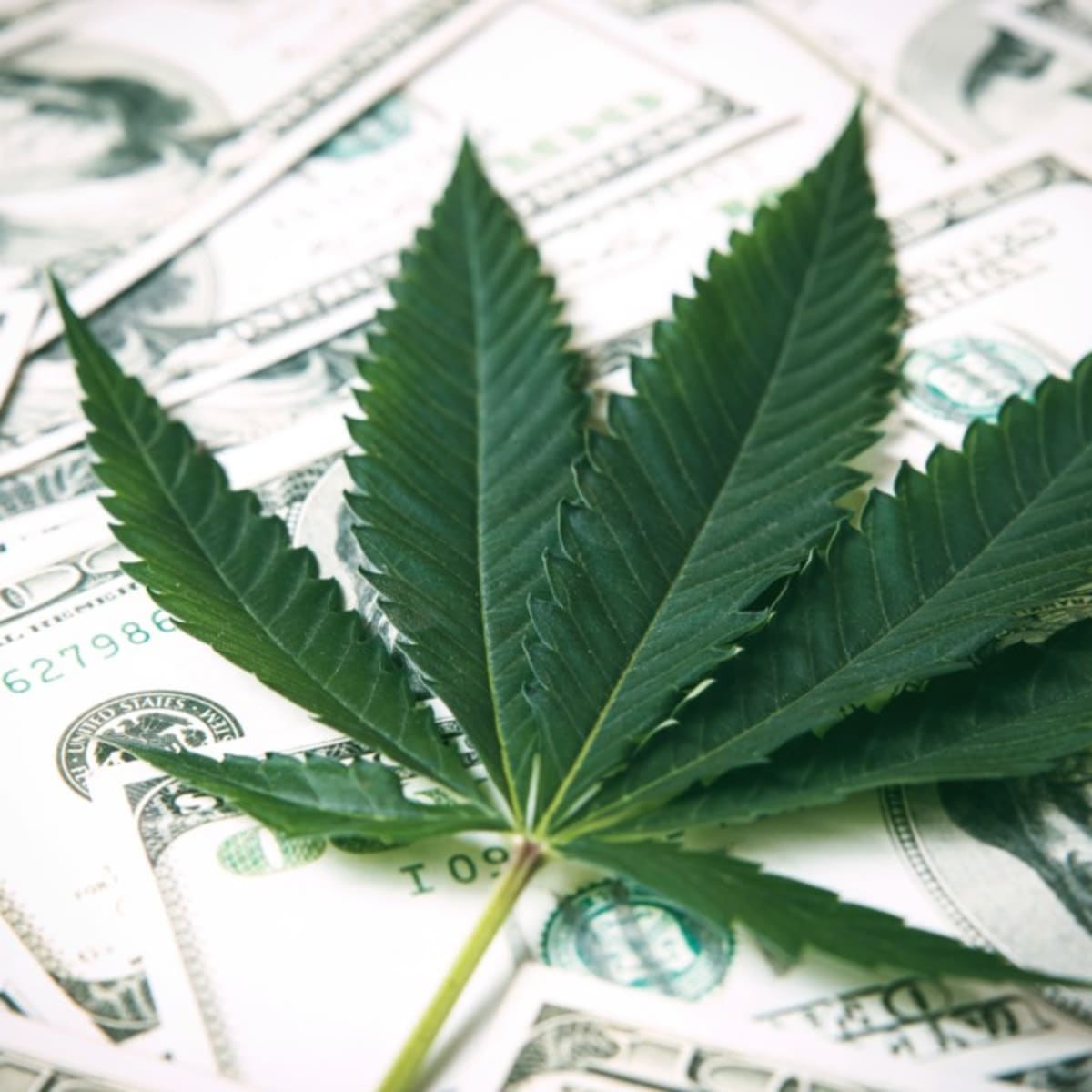 7 Top Marijuana Etfs For 21 Etf Focus On Thestreet Etf Research And Trade Ideas 7 Top Marijuana Etfs For 21 Etf Focus On Thestreet Etf Research And Trade Ideas