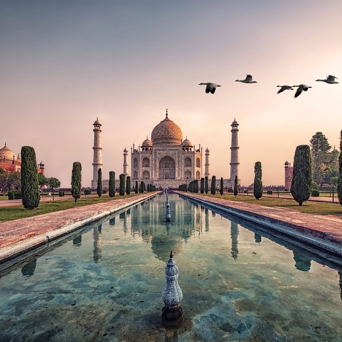 Bollywood Actor Paid Over $130,000 in NFT Taxes - TheStreet Crypto: Bitcoin  and cryptocurrency news, advice, analysis and more