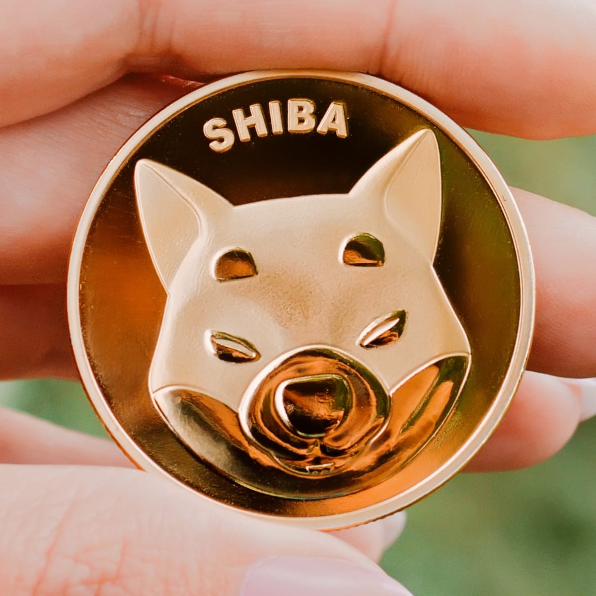 Shiba Inu Slips After Jumping on Robinhood Listing Speculation - TheStreet  Crypto: Bitcoin and cryptocurrency news, advice, analysis and more