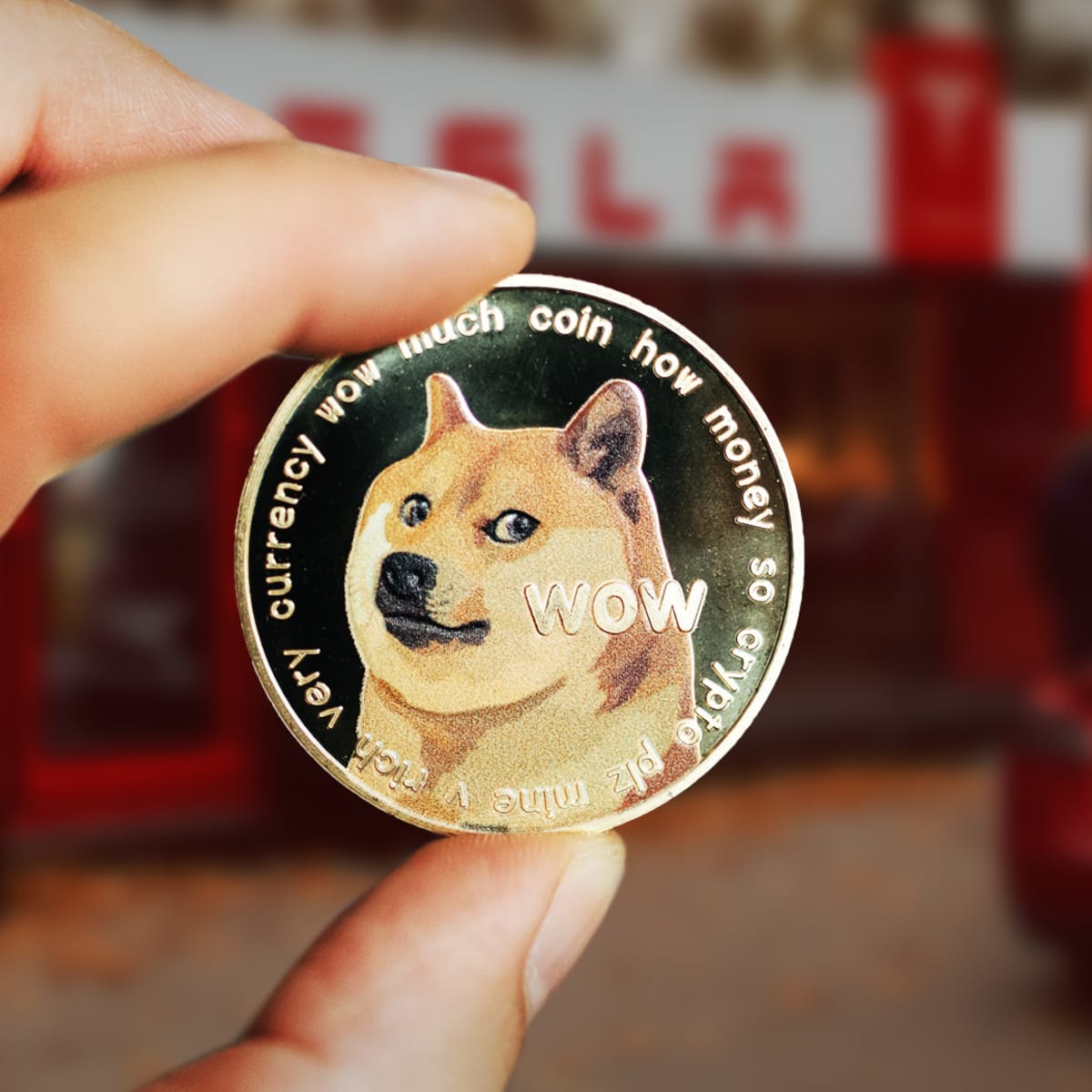 Dogecoin plunges to $0.33, as analysts forecast a wider price drop for meme  coin - TheStreet Crypto: Bitcoin and cryptocurrency news, advice, analysis  and more