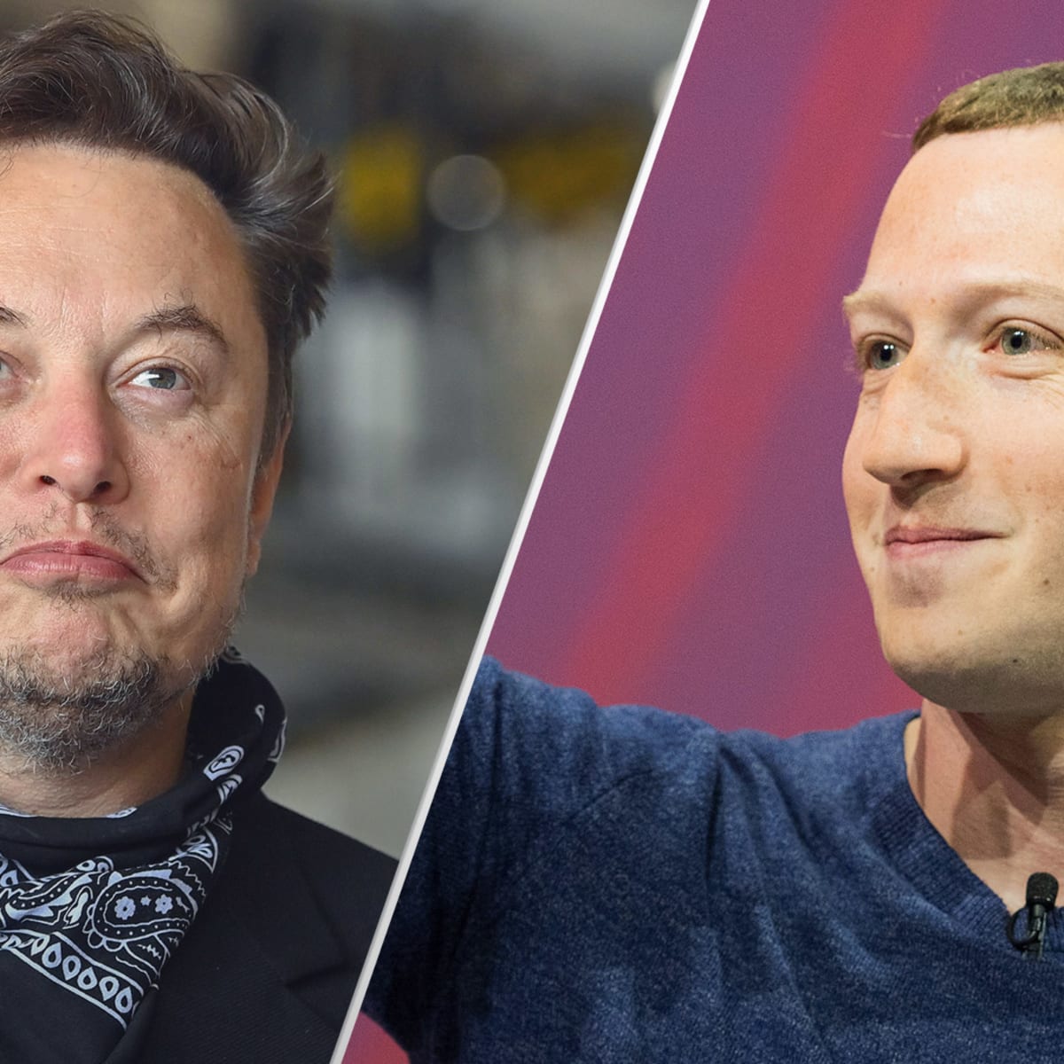 Zuckerberg Vs Musk: Disputes Heat Up Over Billionaire Cage Fight