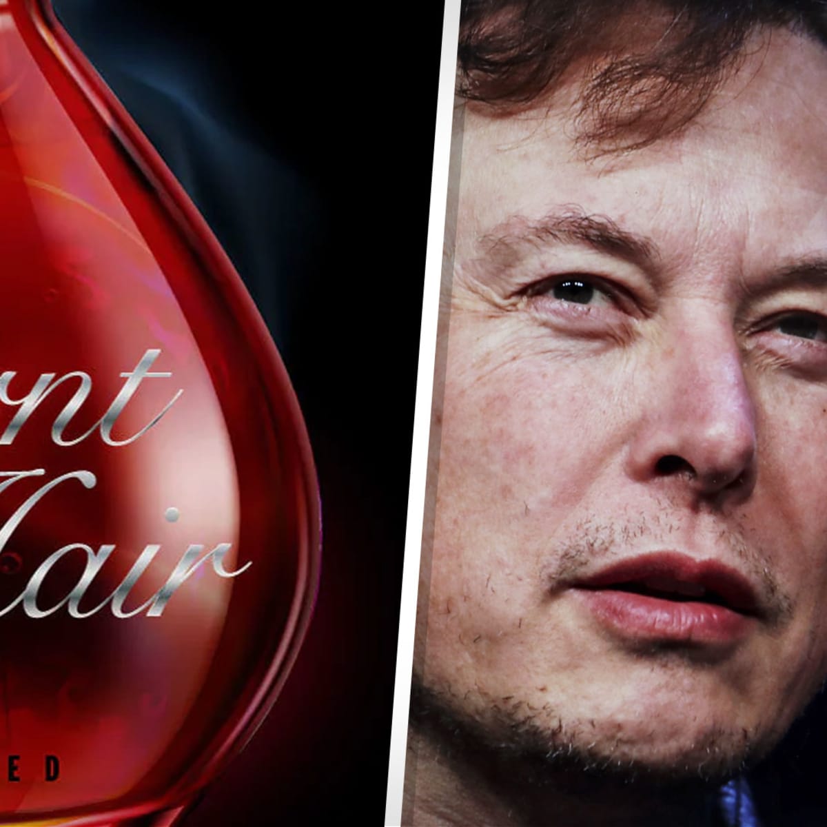 Elon Musk Peddles Burnt Hair Perfume Fails to Deliver on HighSpeed  Trains