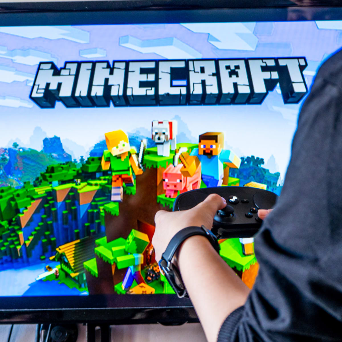 Minecraft no longer has bitcoin payments - TheStreet Crypto: Bitcoin and  cryptocurrency news, advice, analysis and more