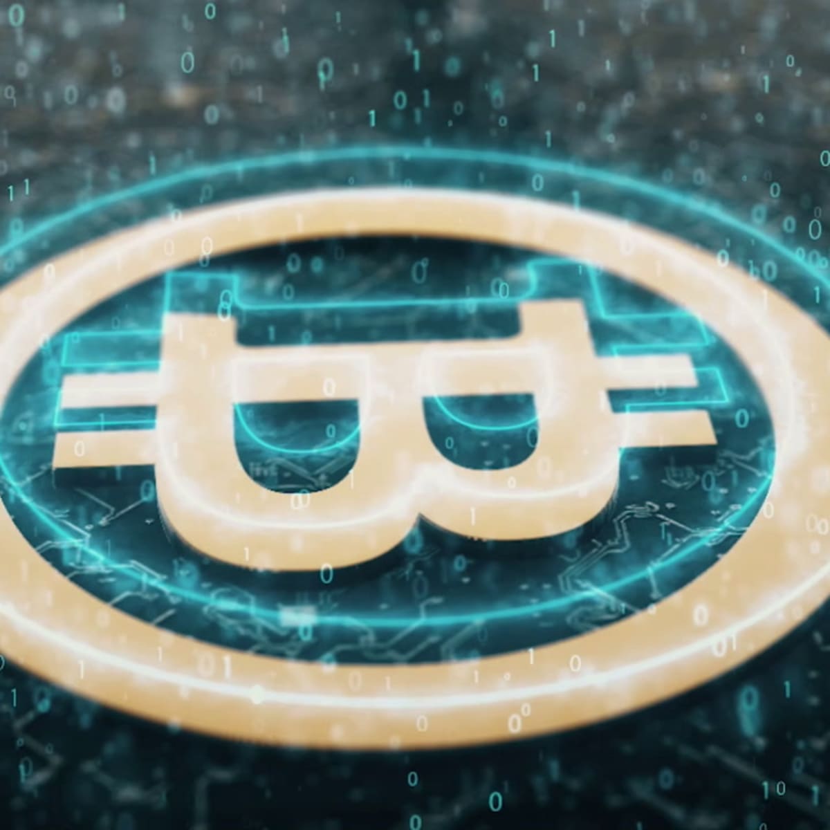 Bitwise publishes bitcoin ETF address, revealing $465 million holdings -  TheStreet Crypto: Bitcoin and cryptocurrency news, advice, analysis and more