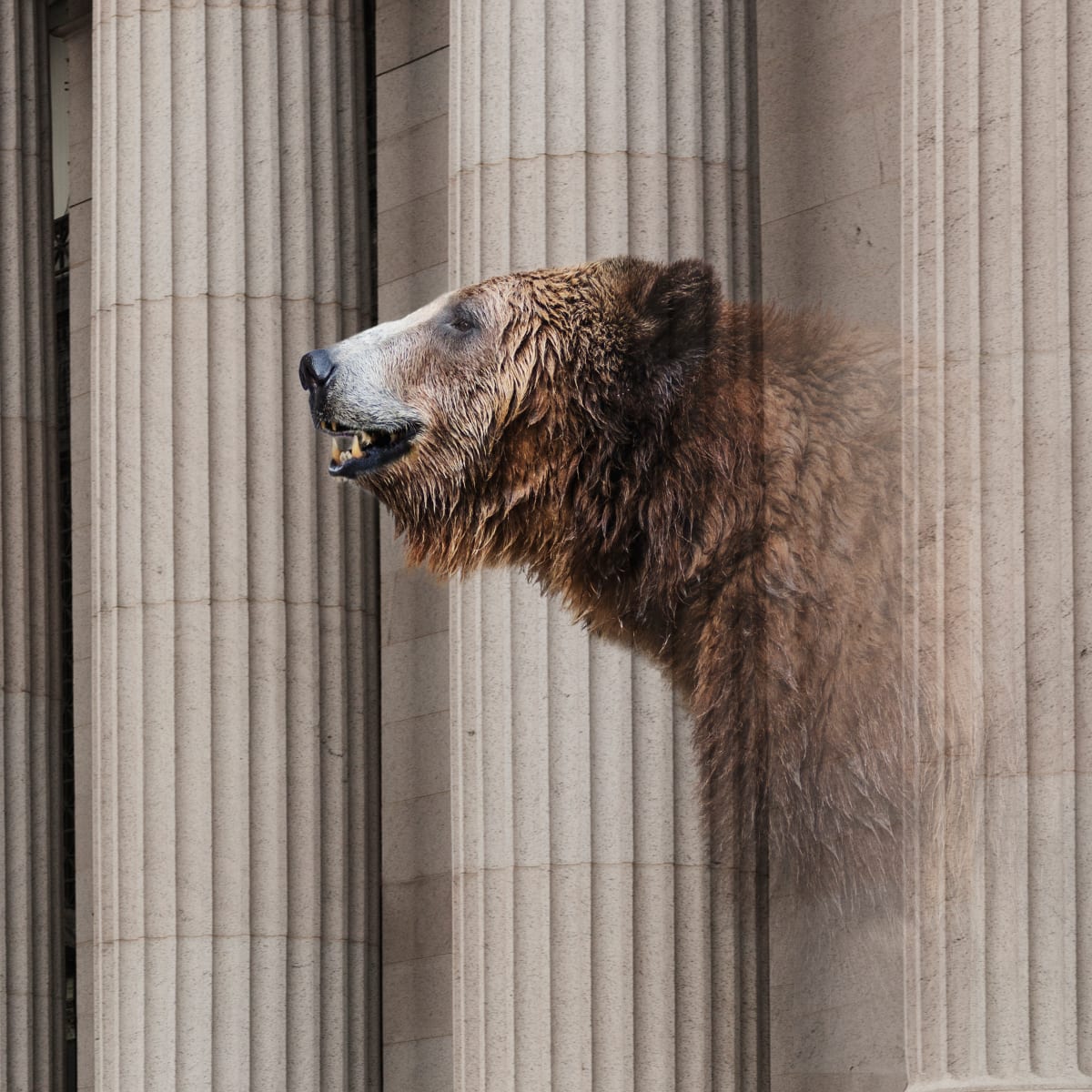 Analyst who nailed 2021 market collapse predicts incoming Bitcoin crash -  TheStreet Crypto: Bitcoin and cryptocurrency news, advice, analysis and more