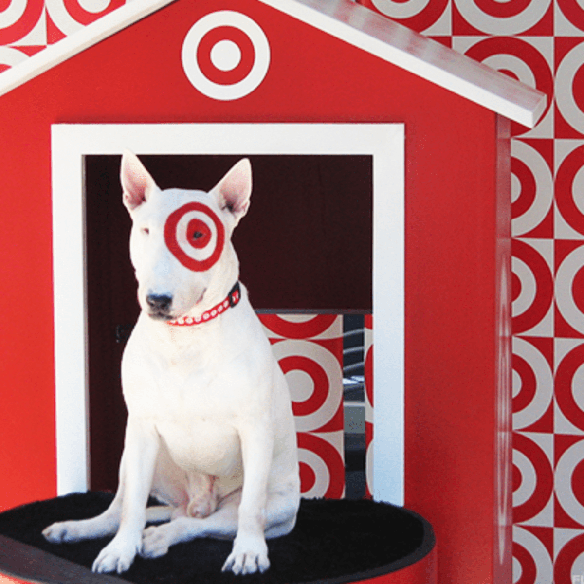 target pet ramp