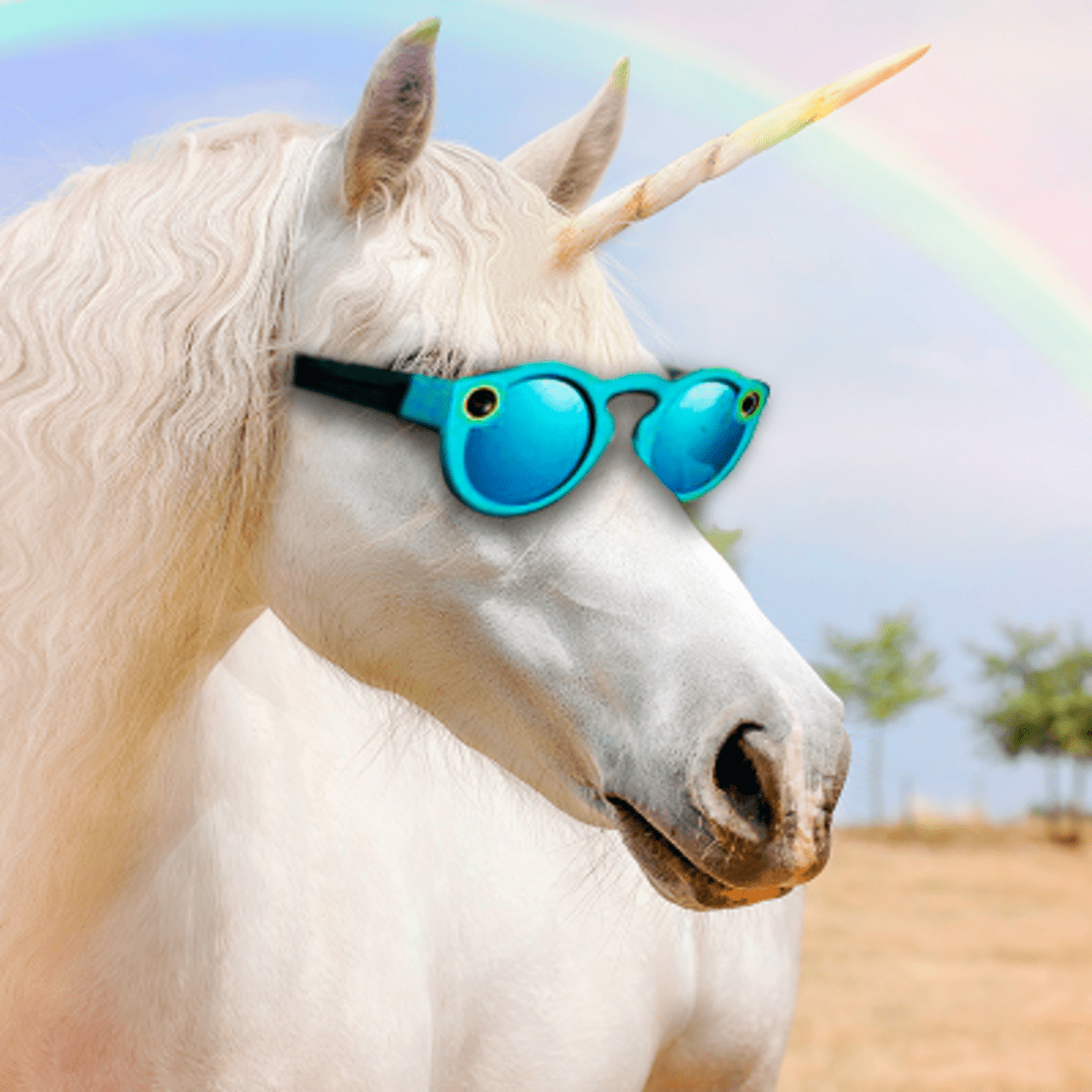 Next unicorn ipo forex expert advisor pair trading