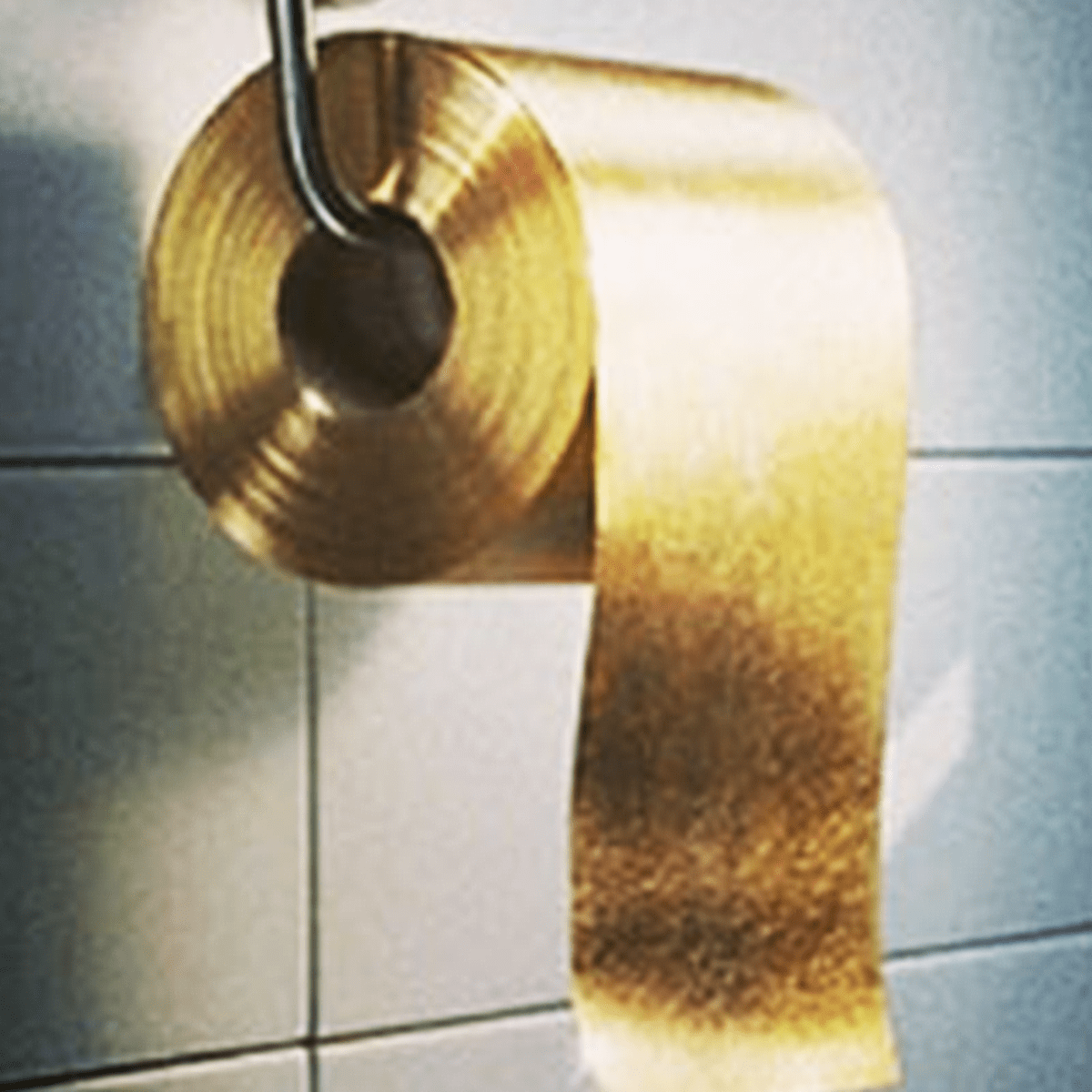 60000-gold-toilet-paper-and-other-real-life-extravagances.png