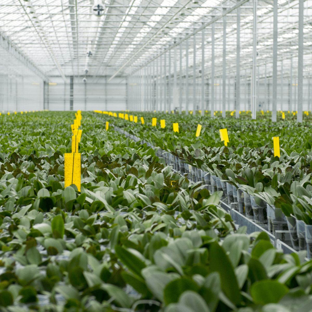 From gold investors to an Arctic greenhouse: How HIVE is forging new paths  for crypto mining - TheStreet Crypto: Bitcoin and cryptocurrency news,  advice, analysis and more