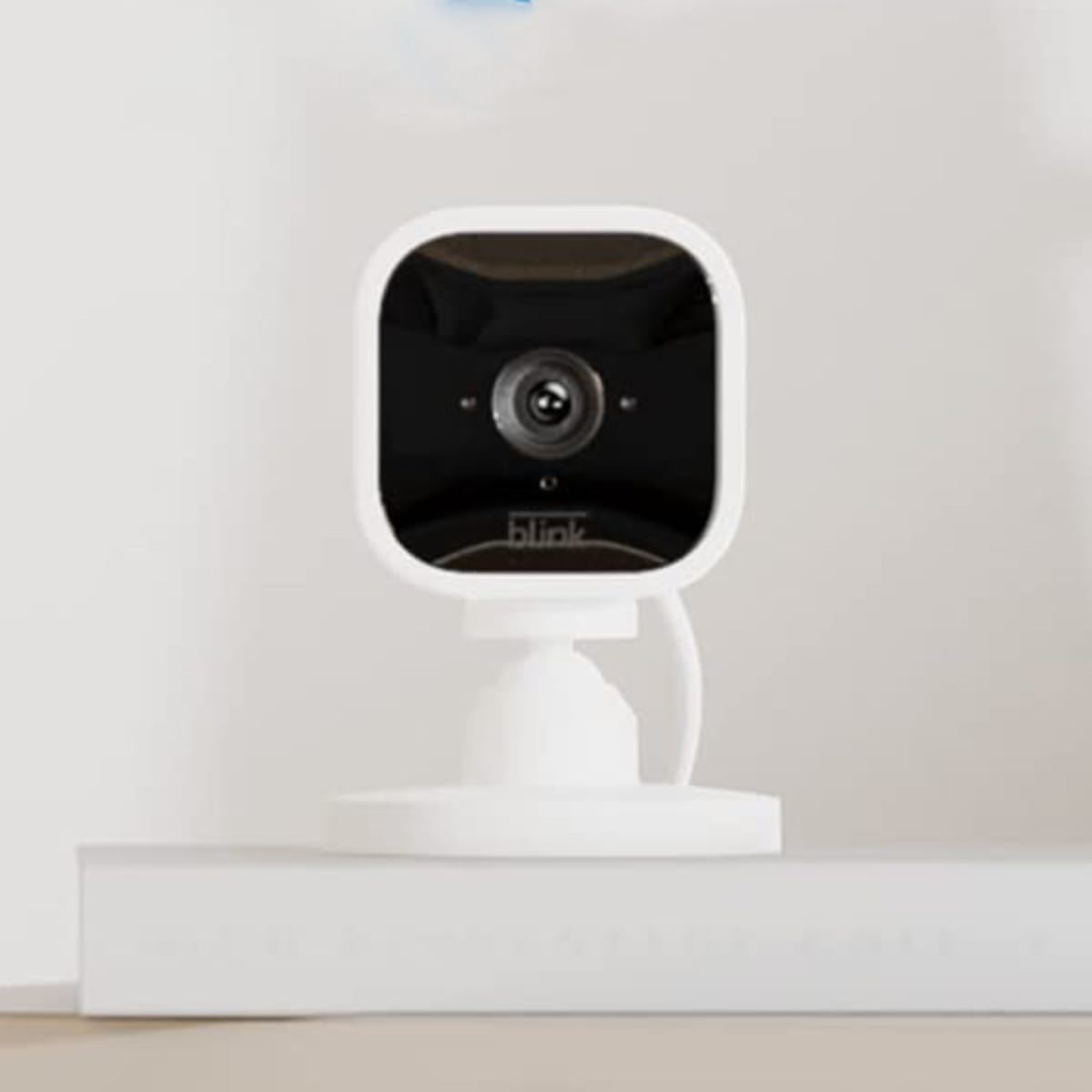 Blink 2025 camera zoom