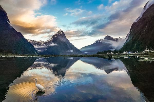 Fiordland National ParkNew ZealandThis park on New Zealand's South Island is known for glacier-carved fiords, the craggy mountains reflected in the Mirror Lakes, powerful waterfalls and towering Mitre Peak.Photo: Shutterstock