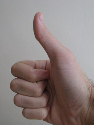 Green products can be plastered with various labels, but what do they mean and are they worth it? Here’s what you need to know about some of the seals you’re likely to see next time you’re at the grocery store.Photo Credit: TheTruthAbout...