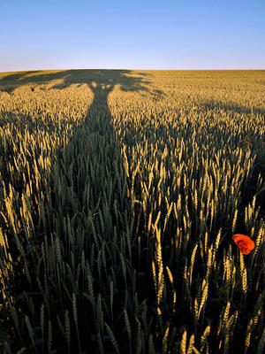 The U.S. may be still struggling with the Great Recession’s effects, but that doesn’t mean every part of the country is struggling. In fact, many Americans are living well above the poverty line. But where are they? MainStreet used 2009 Census data to rank the top 10 richest counties in America according to median household income. The data, published in the 2009 American Community Survey, were calculated by the U.S. Census Bureau after conducting its annual survey of households across the country last year. Read on to see if your county made the list. Photo Credit: Florin Draghici