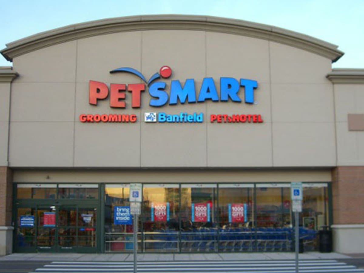 petsmart dish