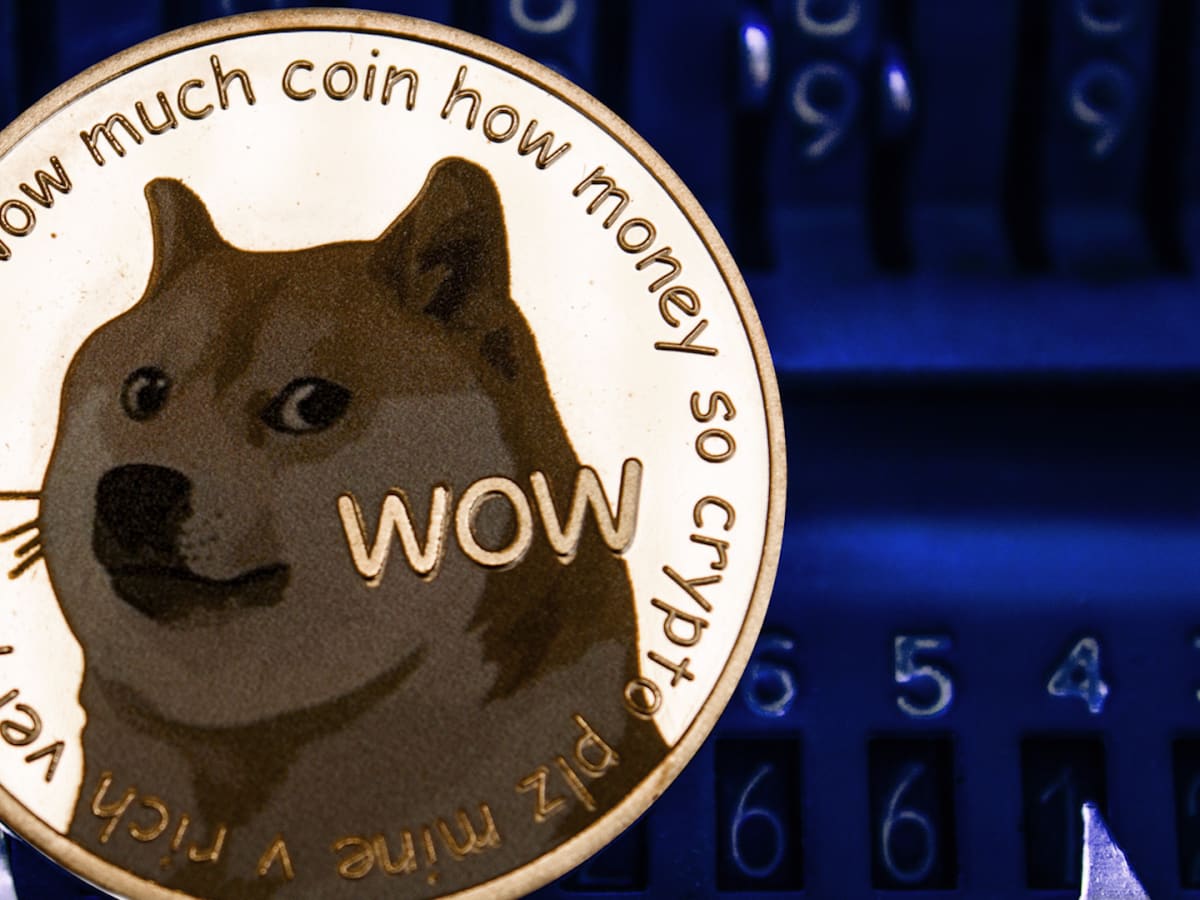 Dogecoin Stock Market Price - Doge Coin Skyrockets And ...