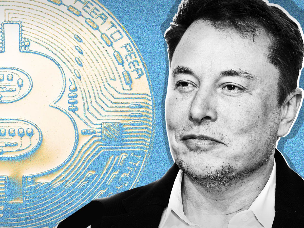 View Elon Musk Crypto Coin Price Background