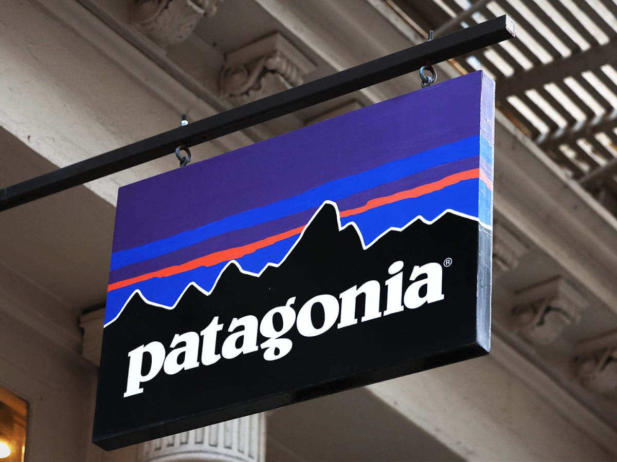 Imagine If There Was Someone Like Patagonia Billionaire