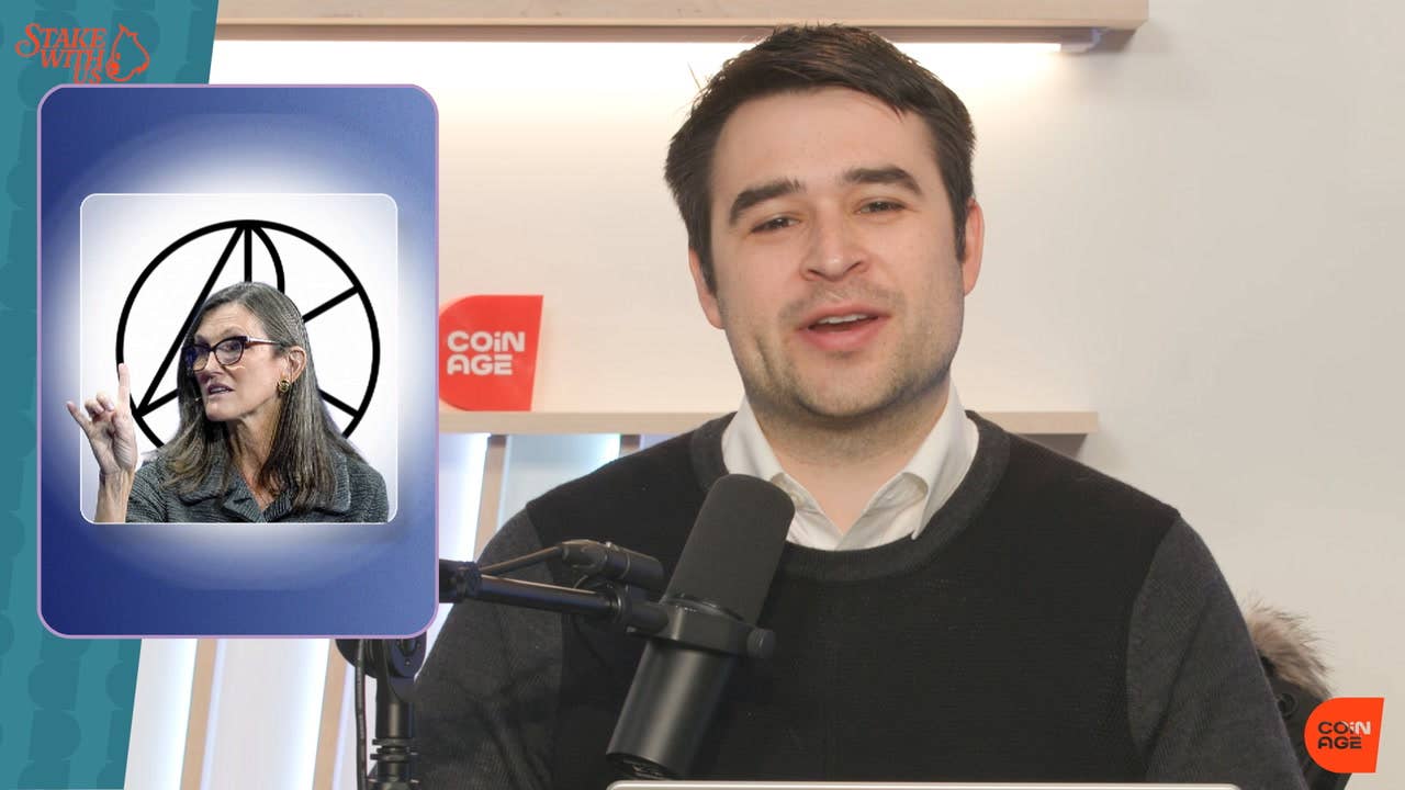 Cathy Wood reveals drivers of bitcoin price