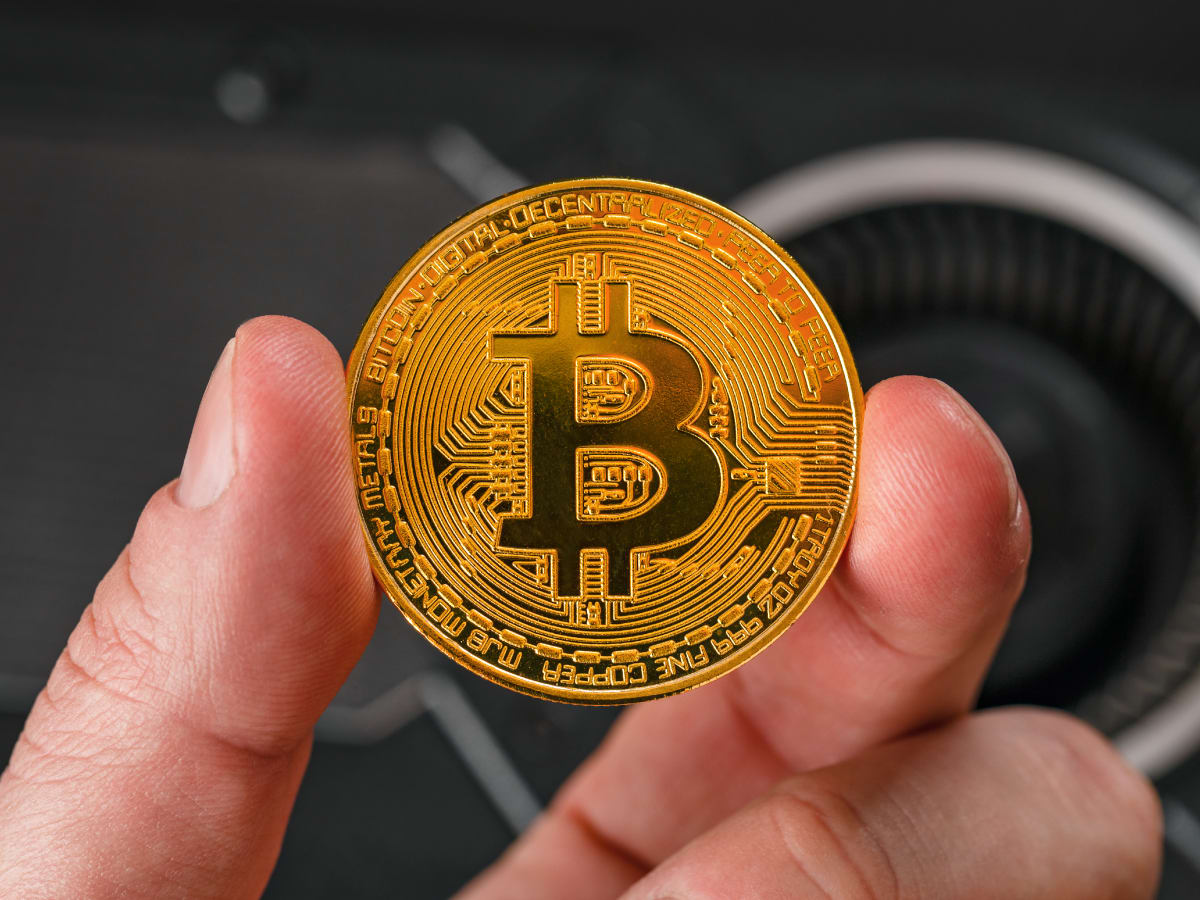 One in Four Americans Now Hold Bitcoin and Crypto Is Going Mainstream -  TheStreet Crypto: Bitcoin and cryptocurrency news, advice, analysis and more