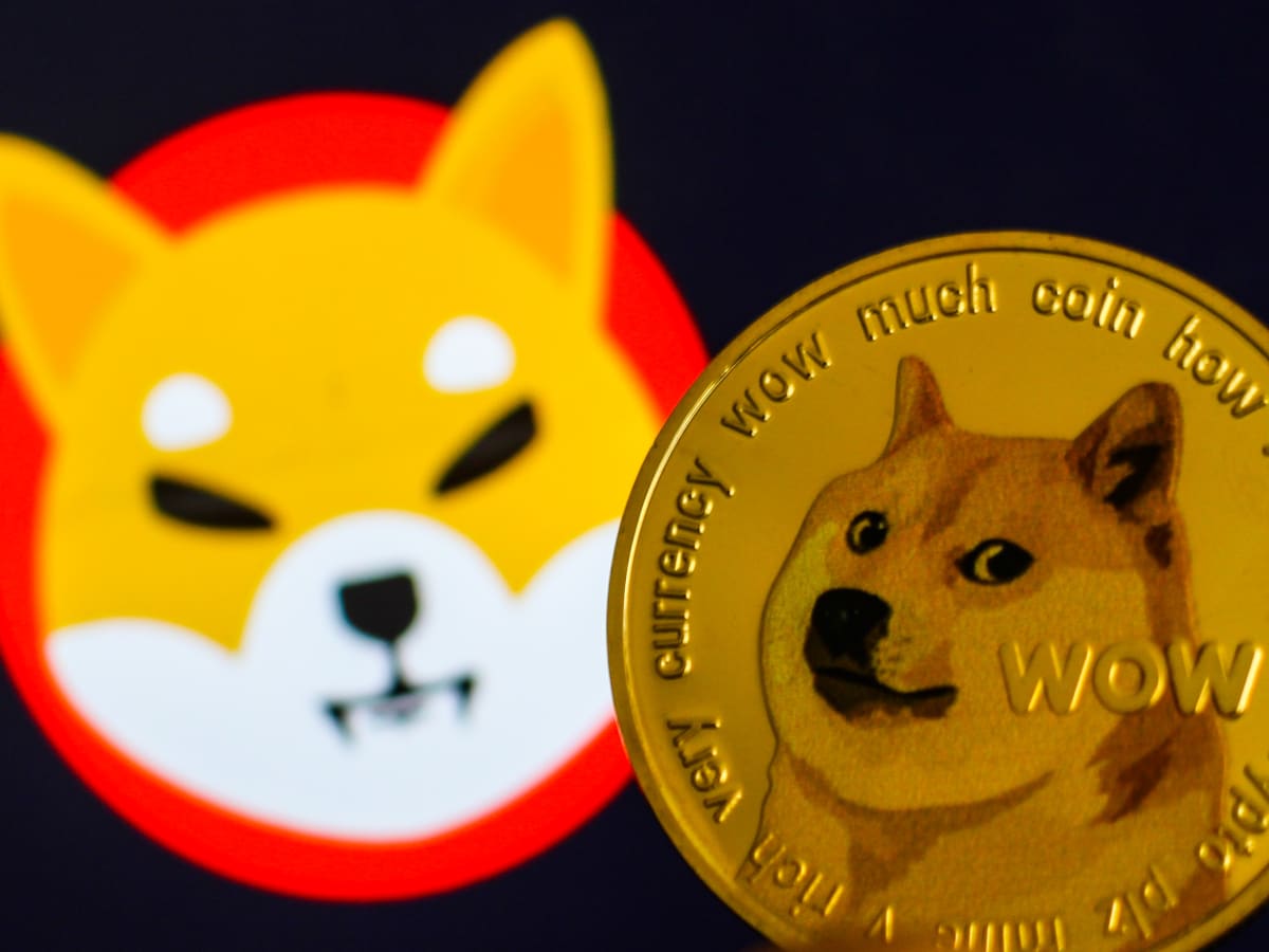 Dogecoin and Shiba Inu rally after market crash - TheStreet Crypto: Bitcoin  and cryptocurrency news, advice, analysis and more