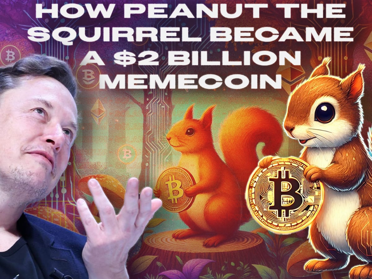 How Elon Musk boosted Peanut the Squirrel to a $2B memecoin - TheStreet  Crypto: Bitcoin and cryptocurrency news, advice, analysis and more