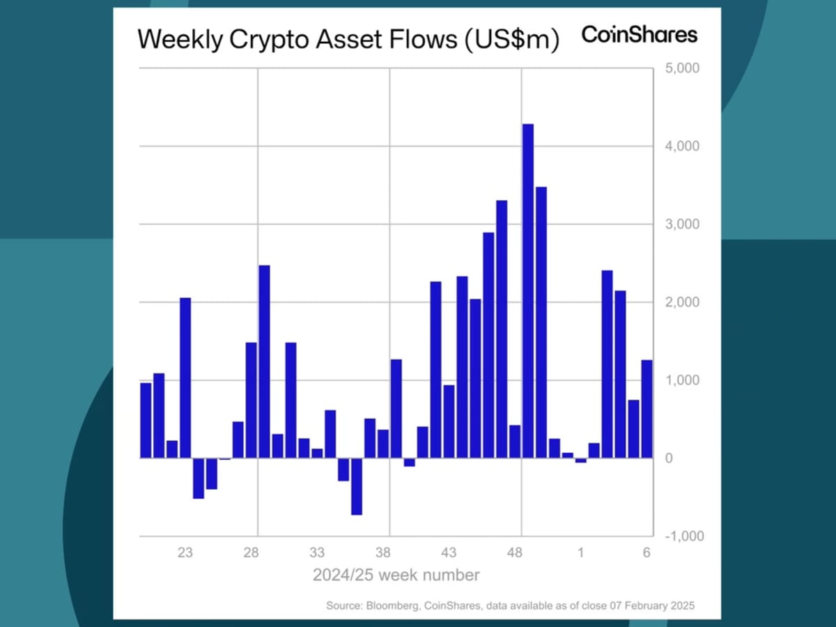 CNG_250210_TheStreet