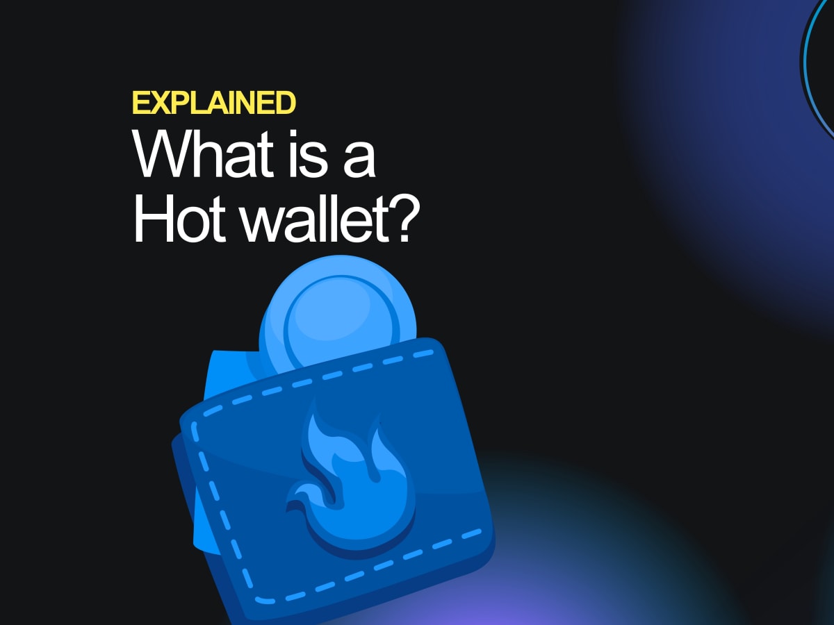 Explained: What is a hot wallet? - TheStreet Crypto: Bitcoin and  cryptocurrency news, advice, analysis and more