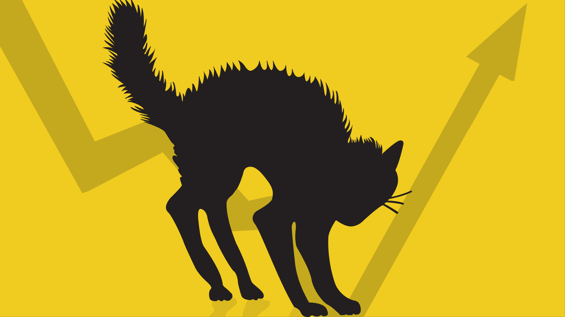 Dead Cat Bounce Explained Thestreet