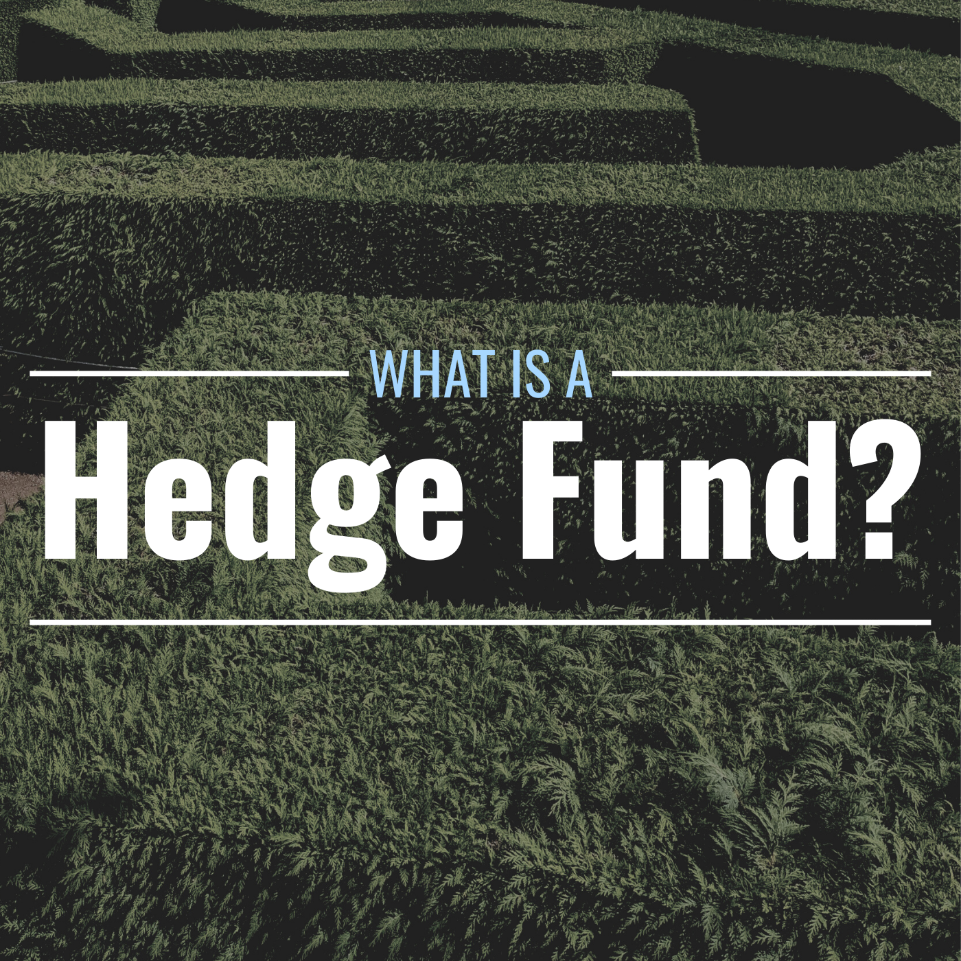 What Are Hedge Funds and How Do They Work? Definition, Purpose & Types -  TheStreet