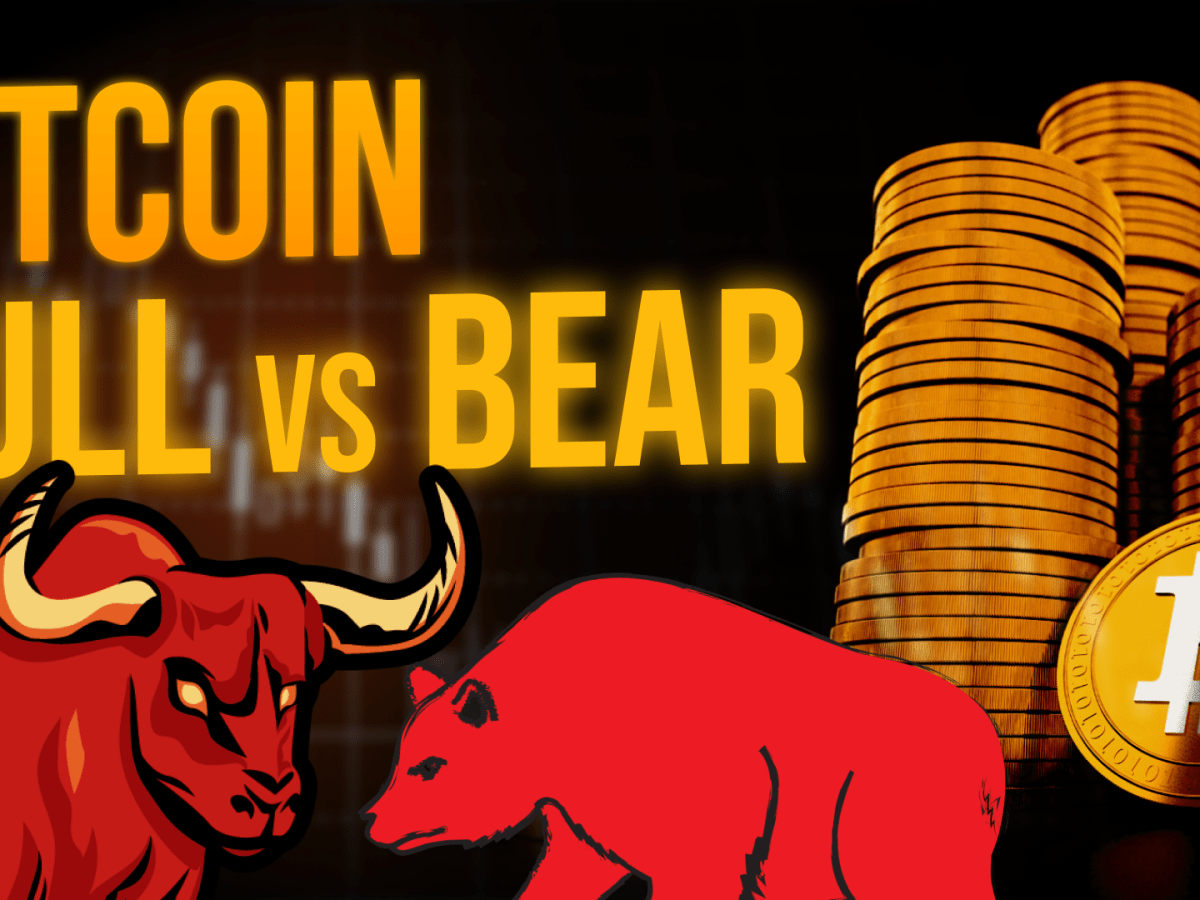 Bill the bear crypto (74) 사진