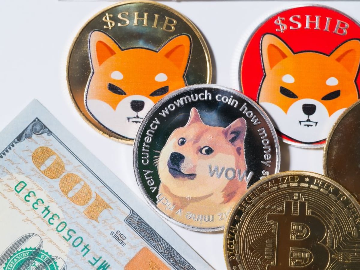 Shiba inu doge sales