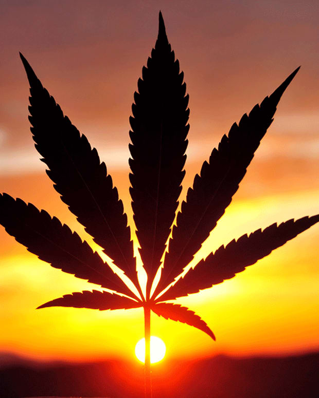 Tilray Is Smokin' as Companies Circle Cannabis Stocks