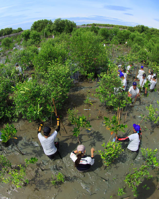 30 Ways the World Is Taking Bold Climate Action