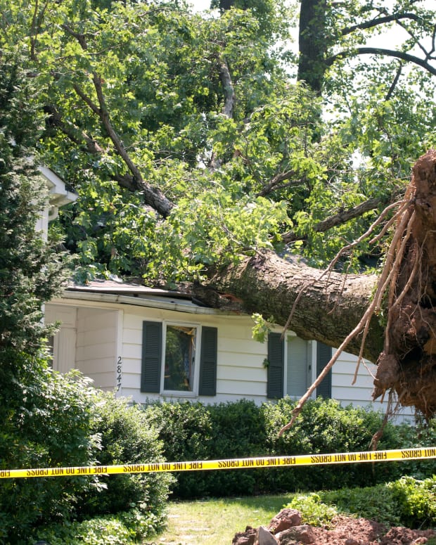 home insurance tree house damage storm sh