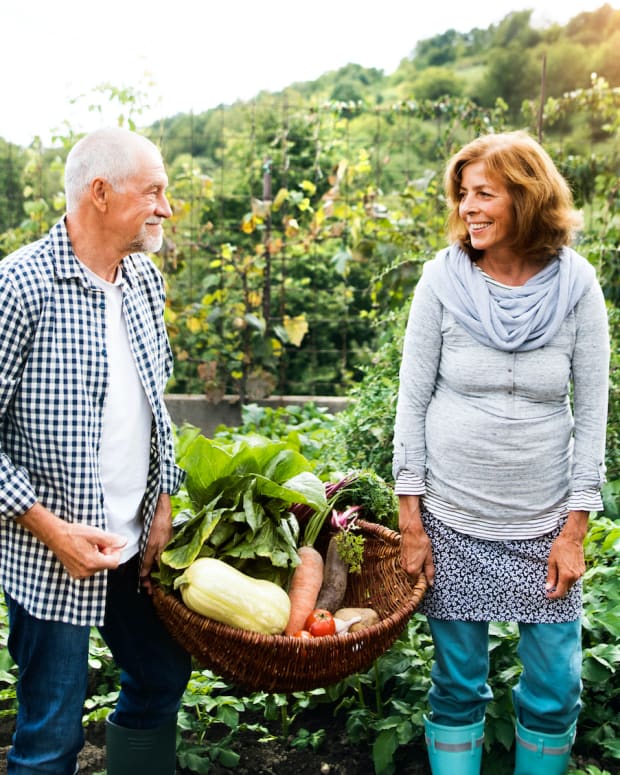 retire wealth lifestyle garden sh