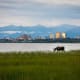 7. Anchorage, Alaska$9,587 a month$115,042 a yearPhoto: Shutterstock