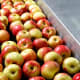 In 2014, EWG reported that a pesticide called DPA was widely used on non-organic American apples. DPA was banned in the European Union in 2012 because its makers could not show it did not pose a risk to human health.