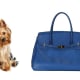 Katie Pet Carrier$379.99 on WayfairThis all-leather designer pet carrier is a must-have for the stylish pooch and looks just like a designer handbag. The Katie Bag is made of soft Italian leather and features designer signature hardware and removable and washable faux fur bedding. Sized for a 7-pound pet, it is airline-approved and comes in black, red, orange and blue.Photo: Shutterstock (left) Wayfair (right)