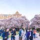 27. University of WashingtonSeattleThis public university in Seattle has distinguished schools in medicine, engineering, business, and law, as well as highly ranked programs in social science and agriculture science, among others.Photo: Checubus / Shutterstock