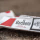 Most Common Brands of Cigarette Butts Found:MarlboroCamelParliamentNewportPall MallAlternatives:  Filterless cigarettes and plant‑based biodegradable cigarette filtersPhoto: Grzegorz Czapski / Shutterstock