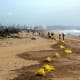 16. South AfricaPlastic Waste Generation Per Year: 4.47 million tonsWorkers clean up trash on a beach in Durban, South Africa.Photo:  lcswart / Shutterstock