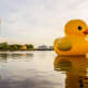 28. Norfolk, Va.Cost: $574.6 million for 69 miles of seawallsPopulation: 245,115Avg. cost per person: $2,338Pictured is "Rubber Duck," a temporary sculpture by Dutch artist Florentijn Hofman, in Norfolk in 2014.Photo: Sherry V Smith / Shutterstock