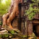 Viroth's is in Siem Reap, a resort town in northwestern Cambodia and the gateway to the ruins of Angkor, the seat of the Khmer kingdom from the 9th-15th centuries, where you can see giant strangler figs consuming the ruins, pictured here.Photo: Shutterstock