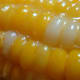 Corn may be high in carbohydrates, but it’s also very high in fiber. And despite their nooks and crannies, it has also made the EWG list of cleanest produce, which is based 87,000 tests for chemical residue in fruits and veggies. Possibly because of the glossy finish on each little kernel, corn doesn’t retain residue nearly as much as, say, a fuzzy peach. Photo Credit: ~ezs’