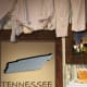 Despite having fewer millionaires than most states, Tennessee has had some notably rich residents. Kenny Chesney and Al Gore are just two names that come to mind. Total number of millionaire households: 88,284 Percent of population that are millionaires: 3.53% Median household income: $43,610